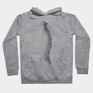 Human Body - Spine Hoodie